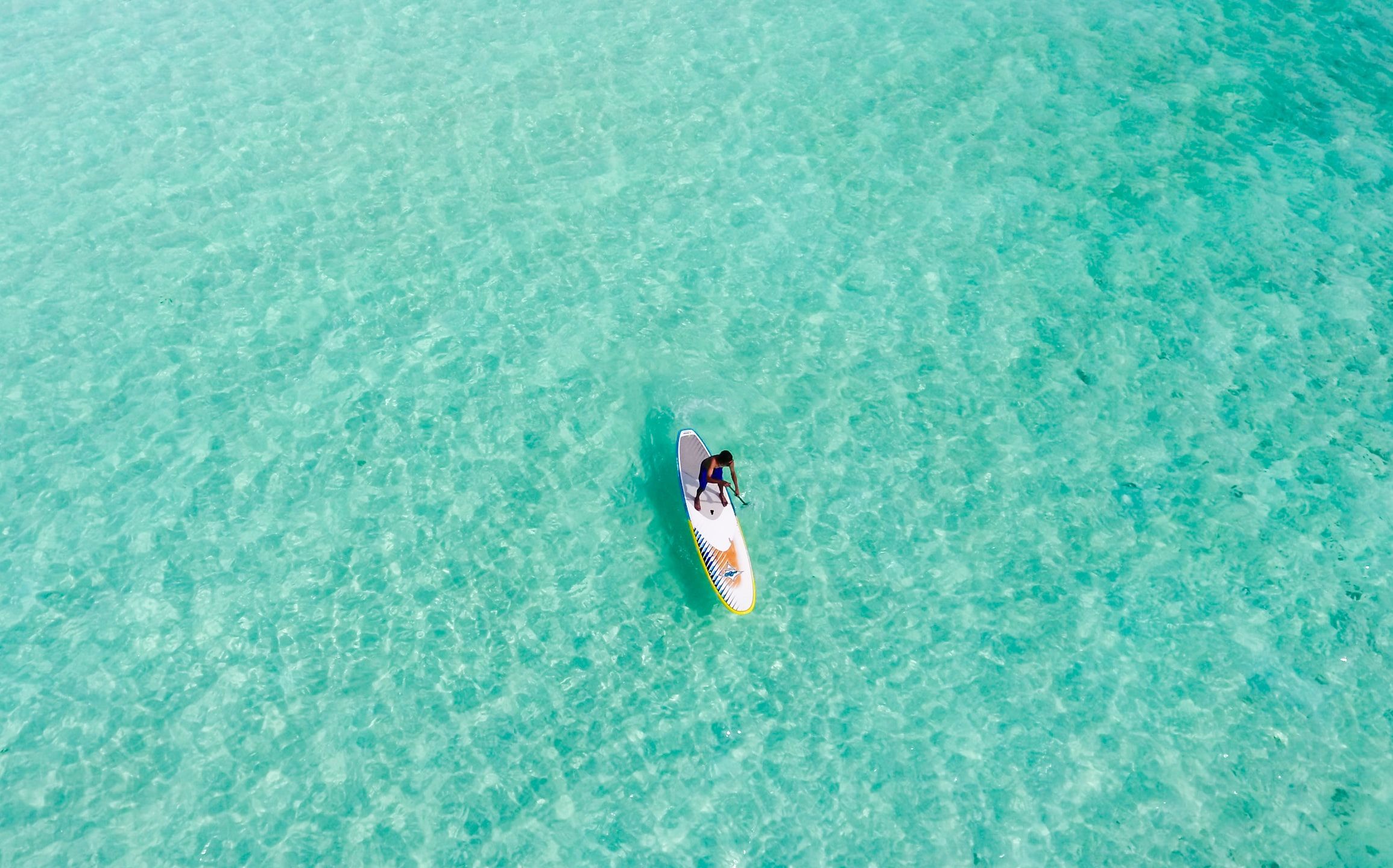 Detroit summer